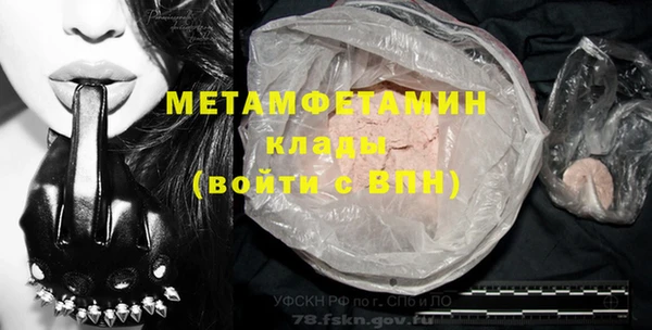 индика Новозыбков