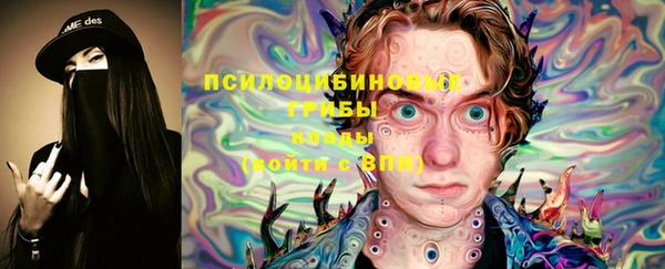 твердый Нягань
