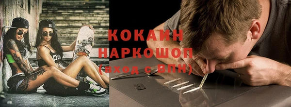 индика Новозыбков