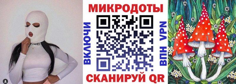 блэк спрут вход Луза Галлюциногенные грибы Cubensis