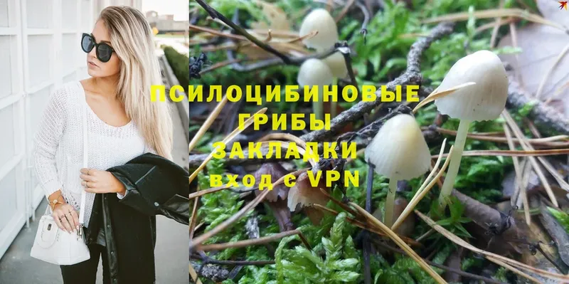 Галлюциногенные грибы Cubensis  где купить наркотик  Луза 