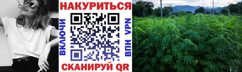 Бошки марихуана Amnesia  Луза 